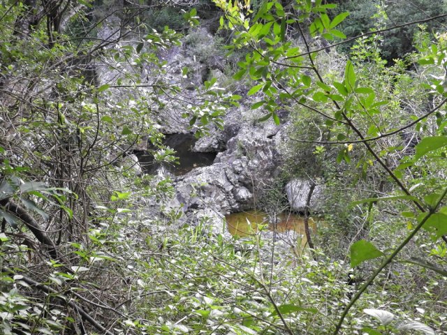 Les bassins proches du Bassin Ti-Feuilles