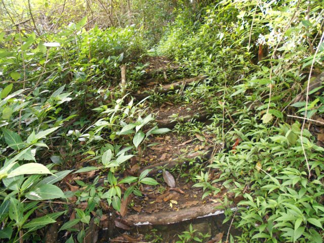 Vestiges de marches de l'ancien sentier des PTR