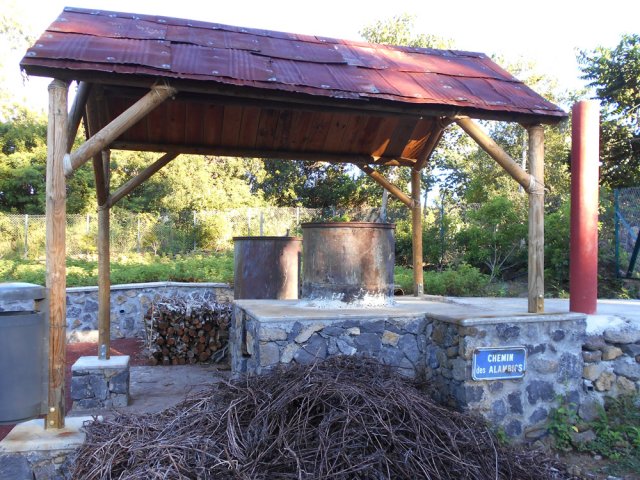 L'alambic au fond du petit parc d'un peu plus d'un hectare