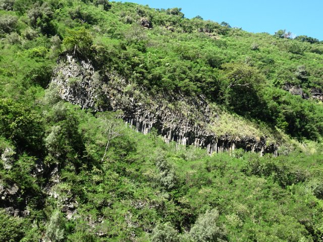 Un magnifique spot d'orgues basaltiques en rive gauche
