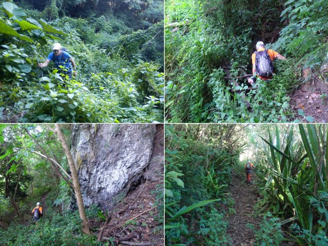 Il se pratique pourtant sans encombre