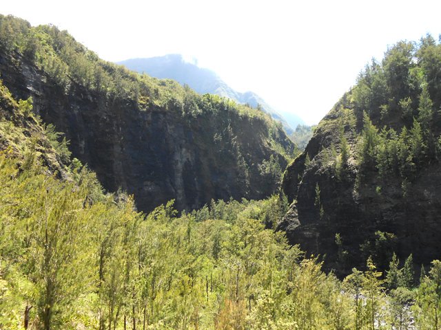 La vallée encaissée de la Rivière des Fleurs Jaunes