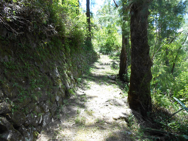 Début de la boucle sur un magnifique sentier ombragé