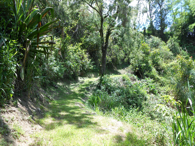 Les derniers mètres de la montée vers la Mare à Martin