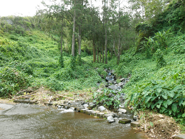 Le radier toujours inondé de la Ravine Mathurin ; tourner à gauche
