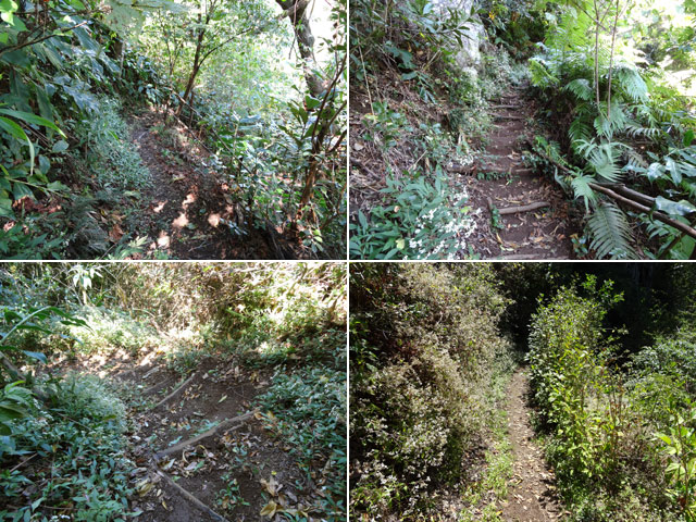 Quelques portions du sentier partant du Grand Serré