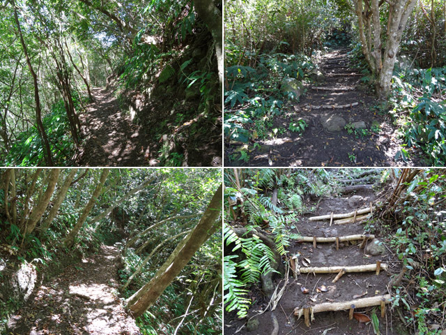 Quelques portions plus ou moins vertigineuses de la descente vers les Canaux