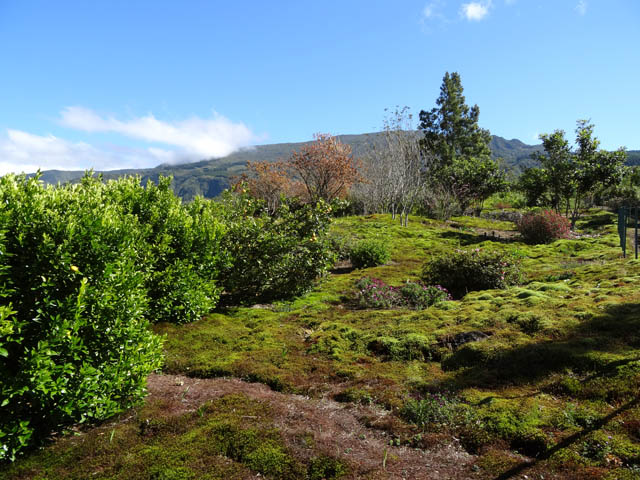 Une petite partie défrichée de la première propriété rencontrée