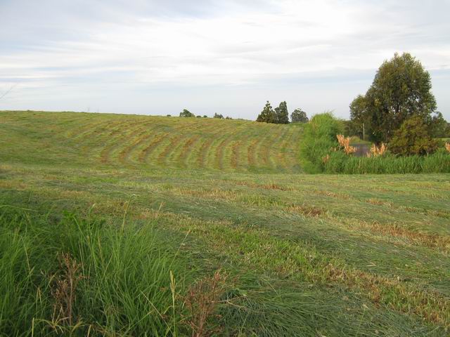 Prairies fauchées des Hauts de Mont Vert