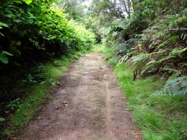 Attention, quelques portions sont très glissantes. Préférer l'herbe
