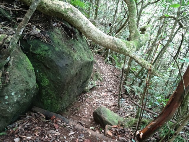 Le sentier frôle quelques grosses roches