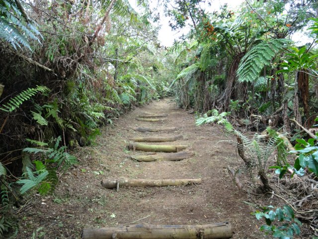 Bien entretenue, la piste est agréable