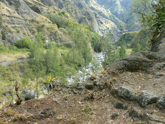En rive gauche du Bras Rouge en début de remontée vers Cilaos