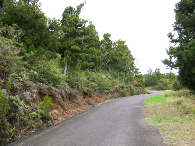 La route du Brûlé vers Mamode Camp