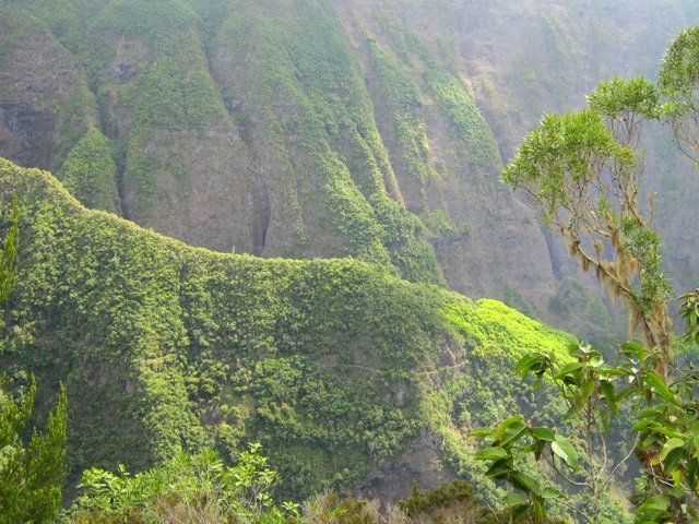 Du point de vue sur l'Îlet à Guillaume, on distingue bien le sentier vers la Roche Ecrite