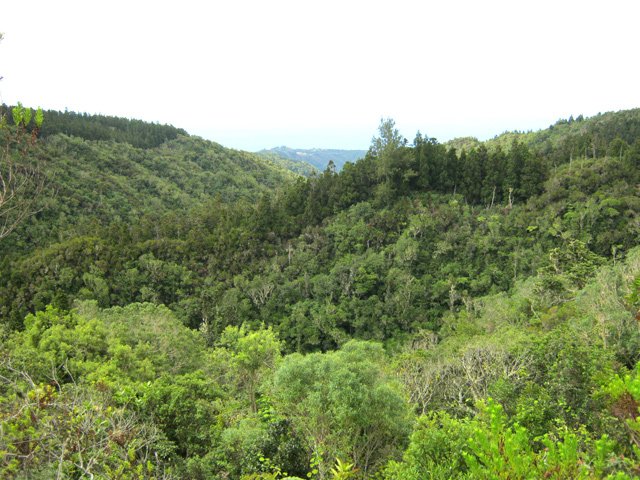 Une idée du relief et de la végétation de cette région