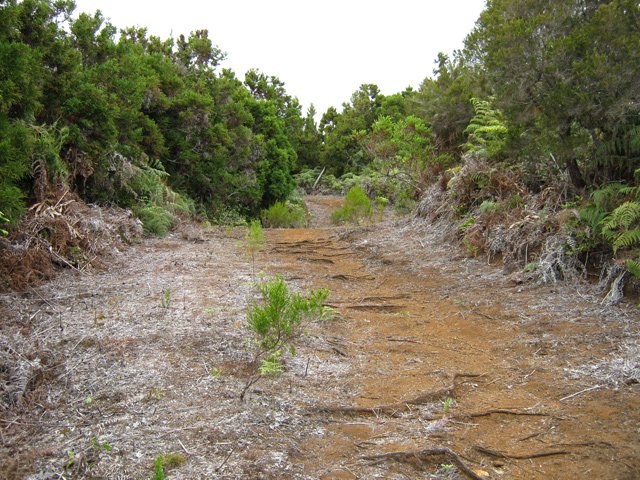 Le sentier devient par endroits une large piste