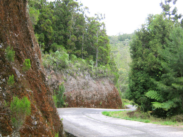 La route, bordée de forêts, reste toujours agréable