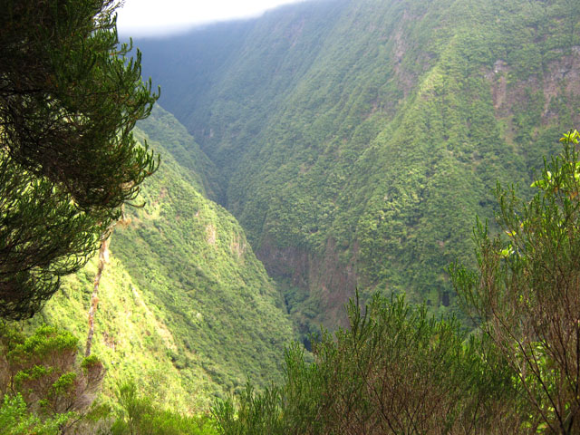 Vue sur la Rivière Saint-Denis depuis le sentier de bord, au-dessus du point de vue officiel