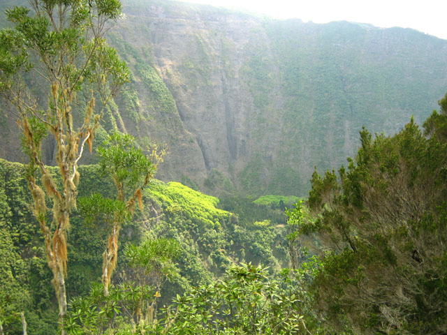 En face, l'Îlet à Guillaume, la forêt de camphriers et la canalisation du Captage du Bras Citron