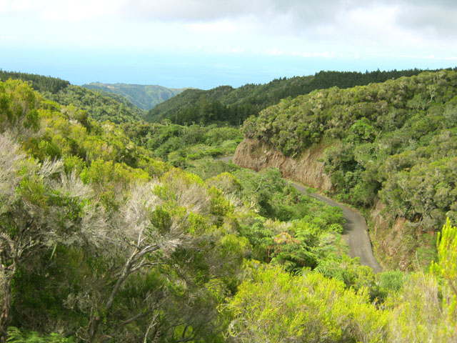 Vue sur la route et le Colorado depuis le sentier oublié