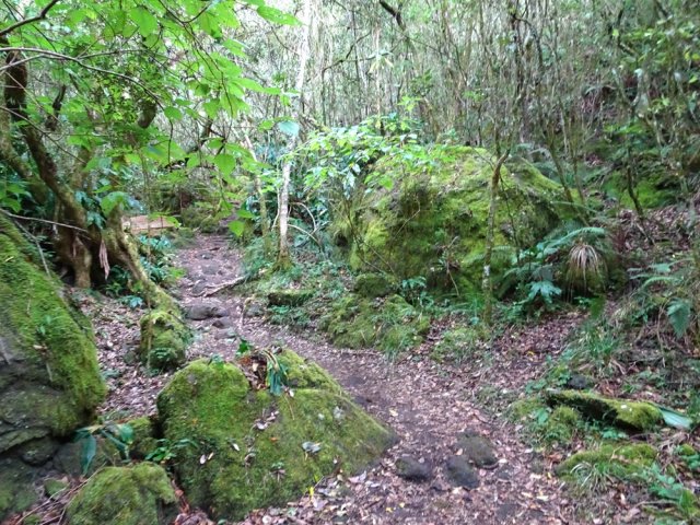 Très agréable cheminement sur cette portion de GRR commune avec le sentier botanique