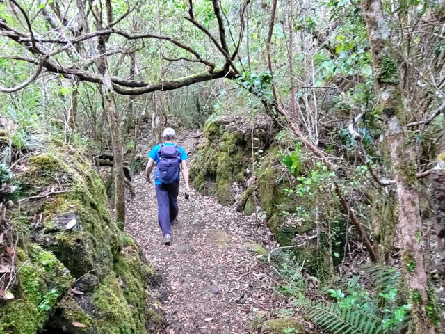 Roches moussues et racines égayent la sortie