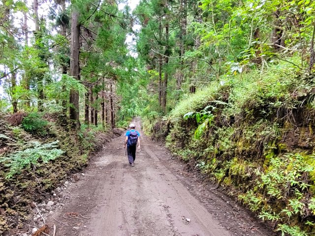 Descente légère le long d'un haut talus moussu