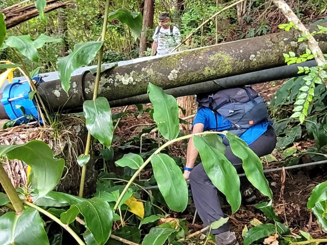 Moins de 10 m en hors sentier