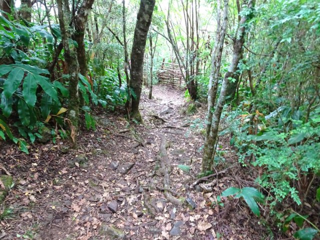 On retrouve de belles portions de sentiers pour vététistes