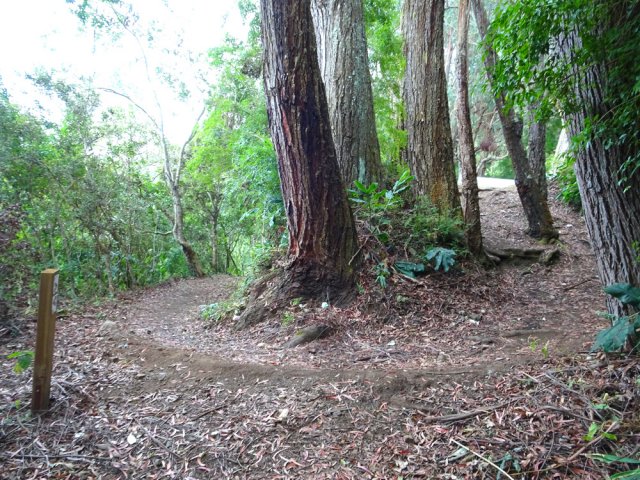 Le sentier passe au plus près de la piste