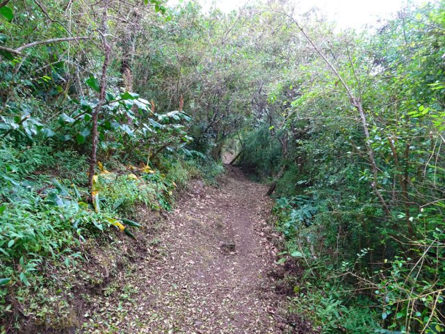 Fin de la descente sur un large sentier