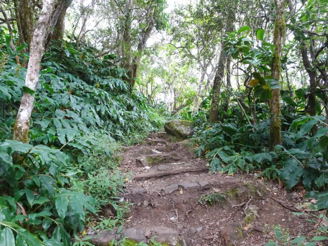 Quelques raidillons coupent un peu le souffle