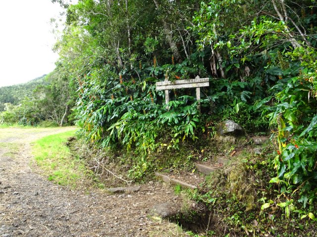 Bonnes indications pour la poursuite après la traversée de la piste