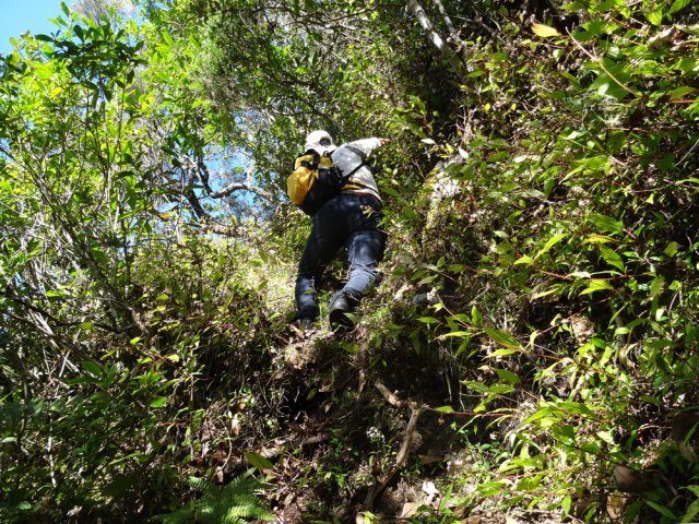 Les derniers mètres nécessitent d'utiliser bras et jambes