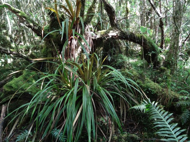 La montée terminée, c'est parti pour 5 heures de plaisir des yeux