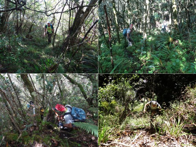 Quelques portions du sentier