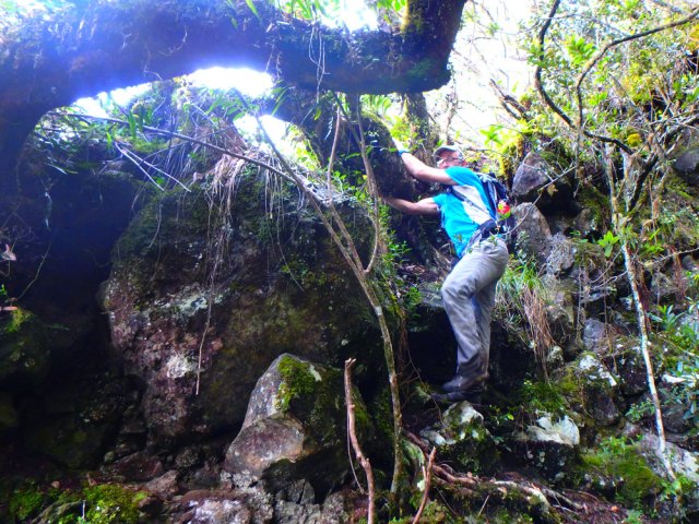 Quelques passages techniques sur rochers et sous les troncs