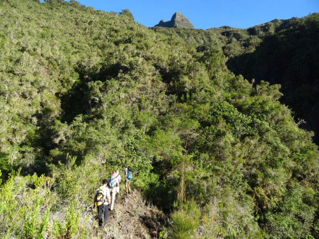 Une idée de la végétation dans le premier tiers de la montée