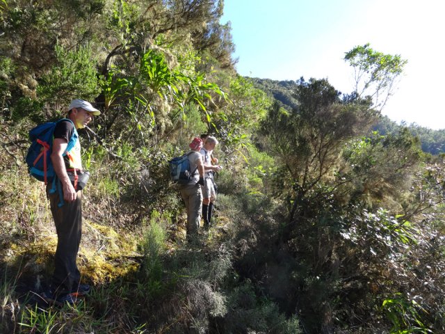 La seule partie à peu près plate lors de la montée