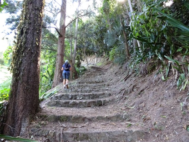 La remontée vers Aurère sur les escaliers et sous les filaos