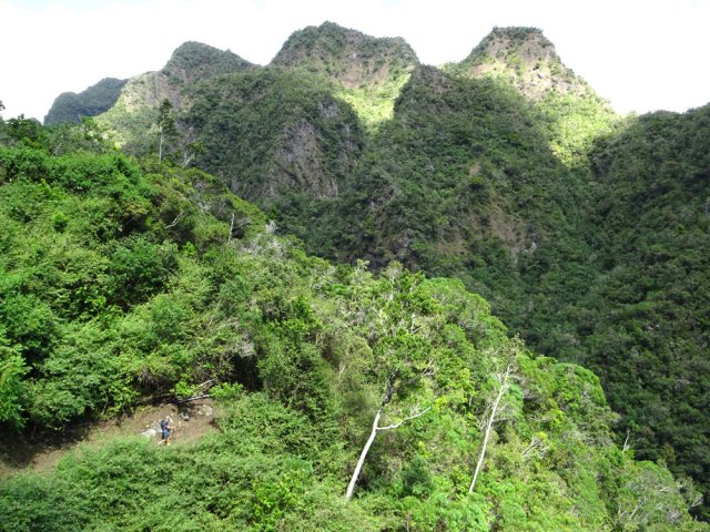 Les pics déchiquetés du Piton Bémale, de l'autre côté de la rivière