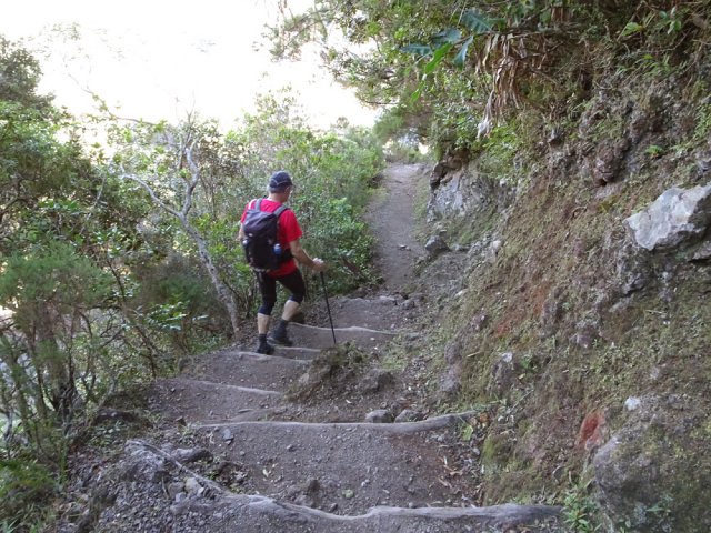 Tout le sentier Scout s'effectue en descente, assez raide par endroits