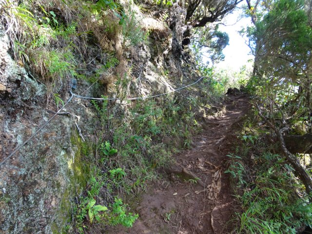 Le sentier est sécurisé et la végétation protège de l'autre côté