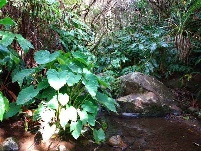Une autre ravine à traverser facilement