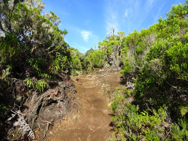 Les parties terreuses, glissantes une fois humides