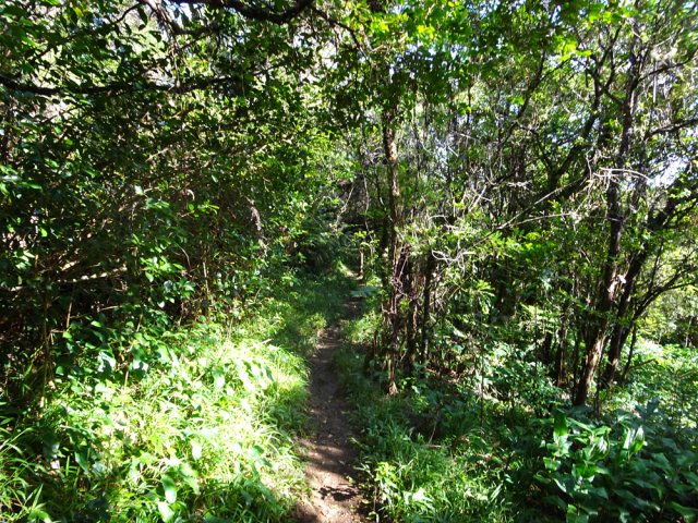 Le sentier après son virage à droite vers la Ravine Blanche