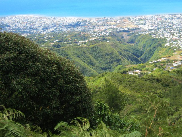 La belle vallée de la Ravine des Patates à Durand