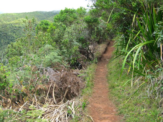 Sentier facile et très fréquenté