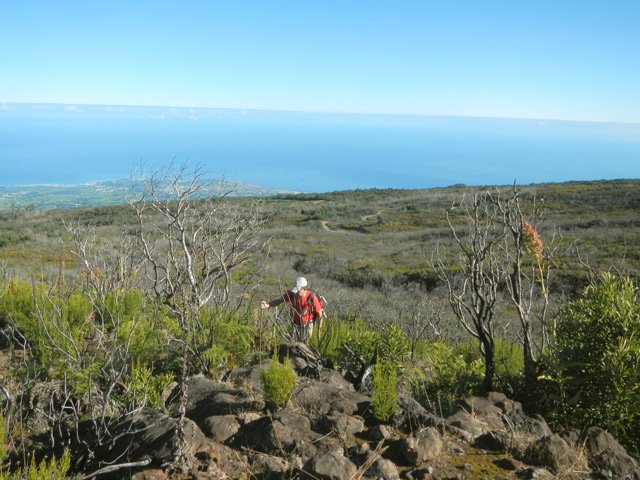 On comprend, au sol, pourquoi le hors sentier est possible